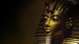 Досье Тутанхамона
