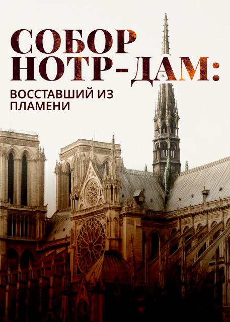 Собор Нотр-Дам: восставший из пламени