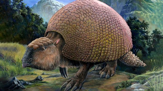 Что случилось с мегафауной Южной Америки? Спойлер: ее съели люди