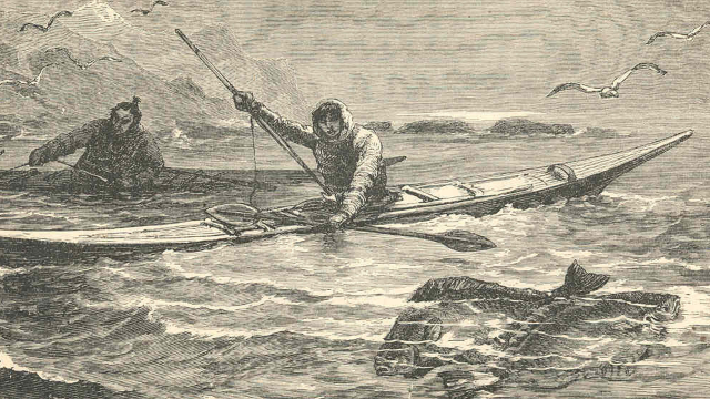 Опасные плавания палеоинуитов 4500 лет назад: историки их недооценивали