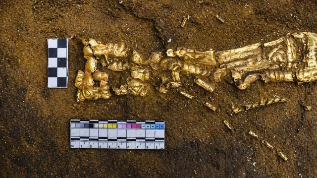 В Казахстане обнаружено захоронение «Золотого человека»
