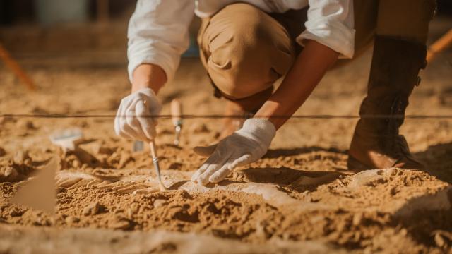 Погребение железного века в Шотландии раскрыло странный ритуал