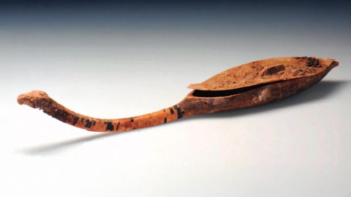В Монголии нашли 1400-летнюю скрипку в виде лошадиной головы